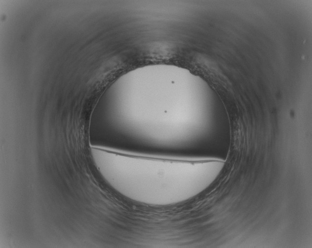 X0000067400608200603311022