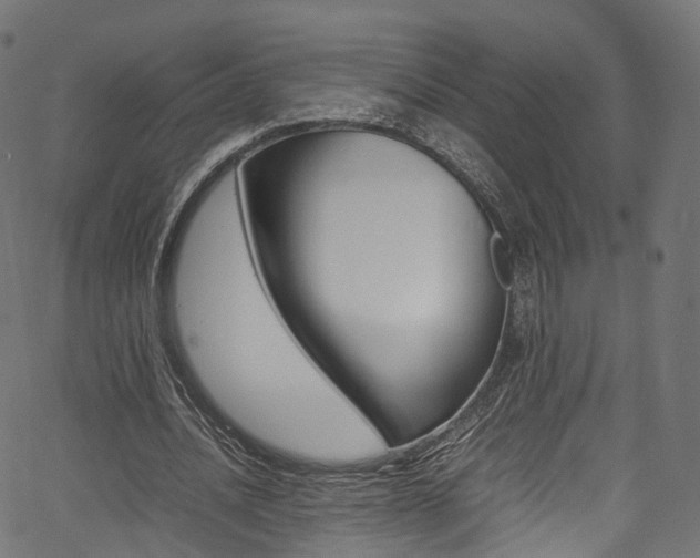 X0000067400628200603311021