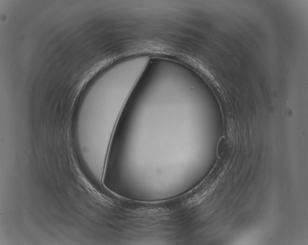 X0000067400629200603311021