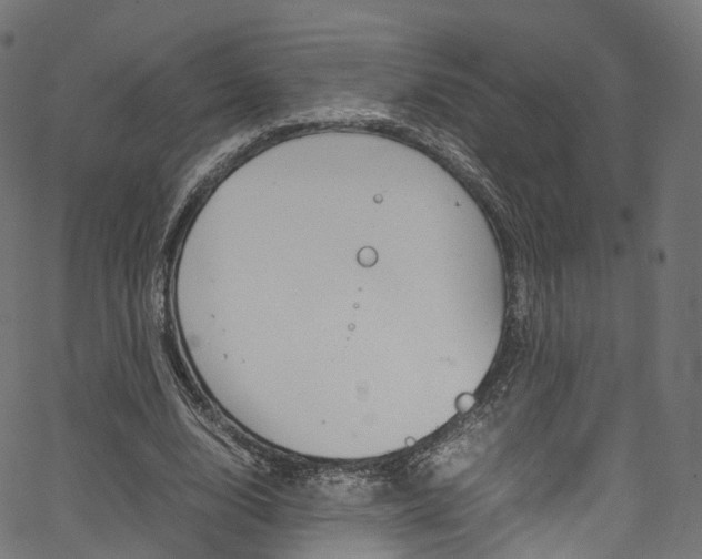 X0000067400632200603311021