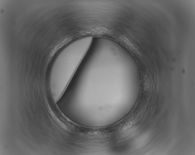 X0000067400634200603311021