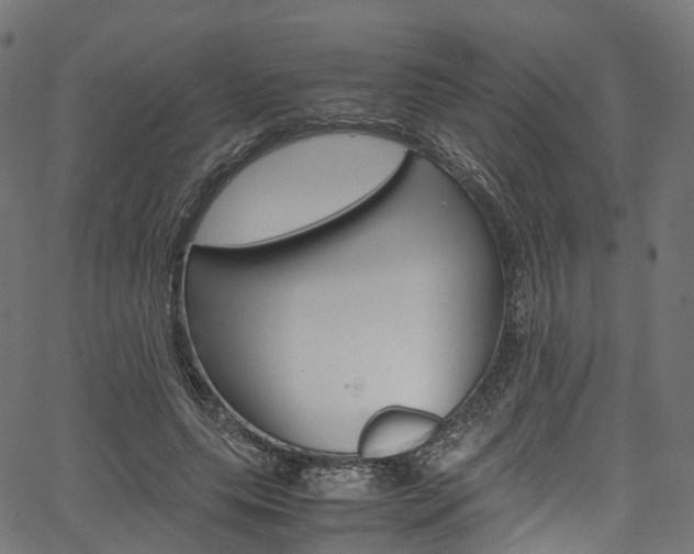 X0000067400639200603311021