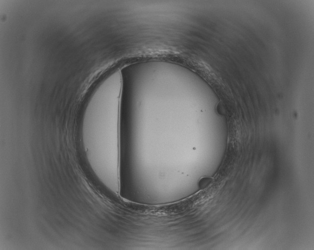 X0000067400640200603311021