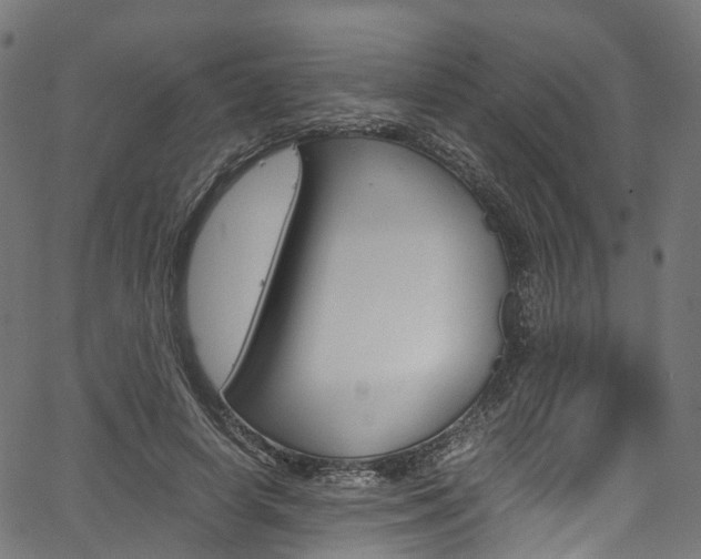 X0000067400642200603311021