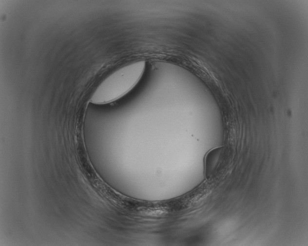 X0000067400643200603311021