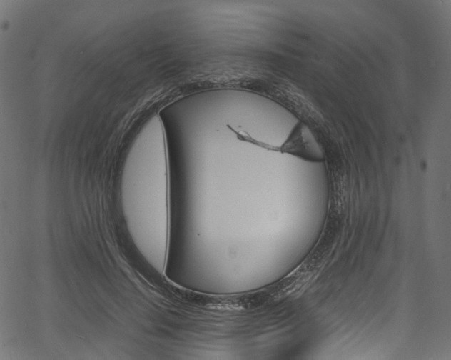 X0000067400644200603311021