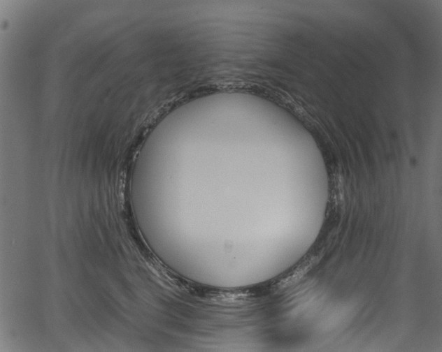 X0000067400664200603311022