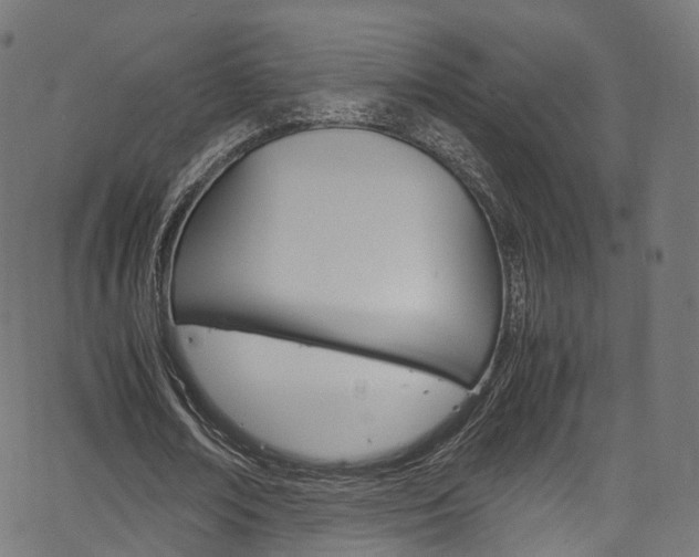 X0000067400674200603311021