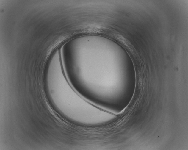 X0000067400677200603311021