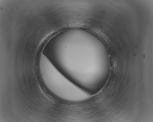 X0000067400684200603311021