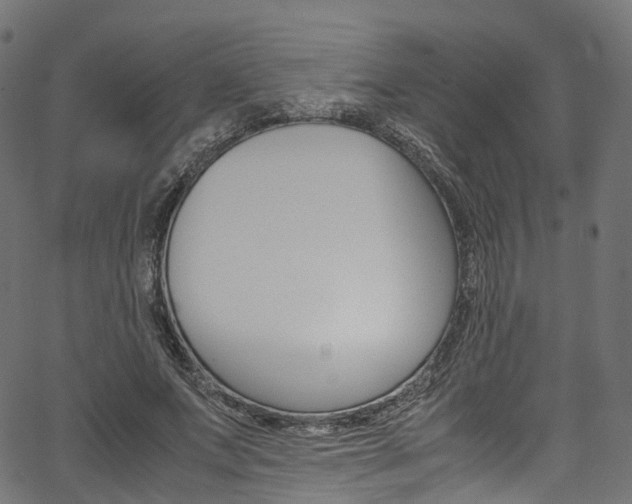 X0000067400687200603311021