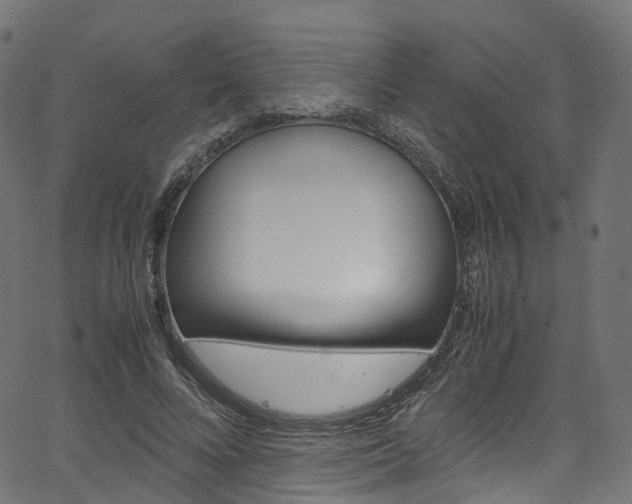 X0000067400688200603311021
