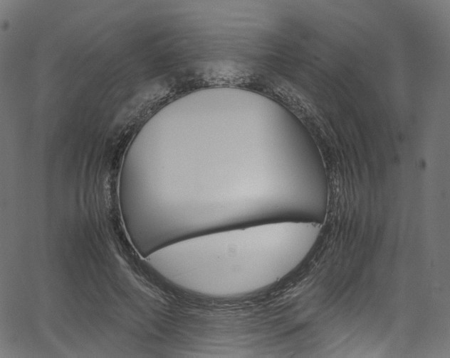 X0000067400690200603311021