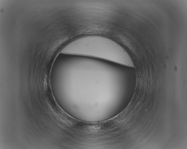 X0000067400692200603311021