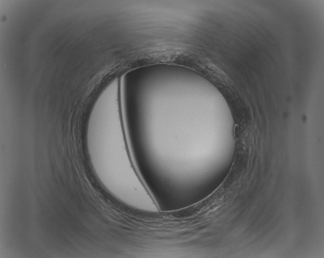 X0000067400693200603311021