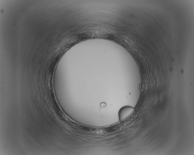 X0000067400695200603311021