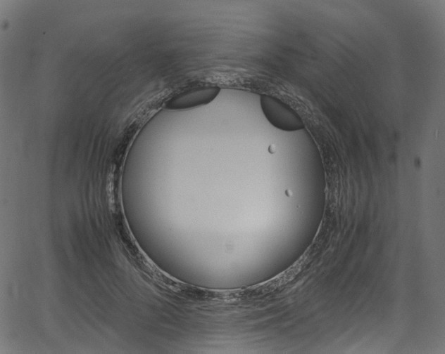 X0000067400696200603311021