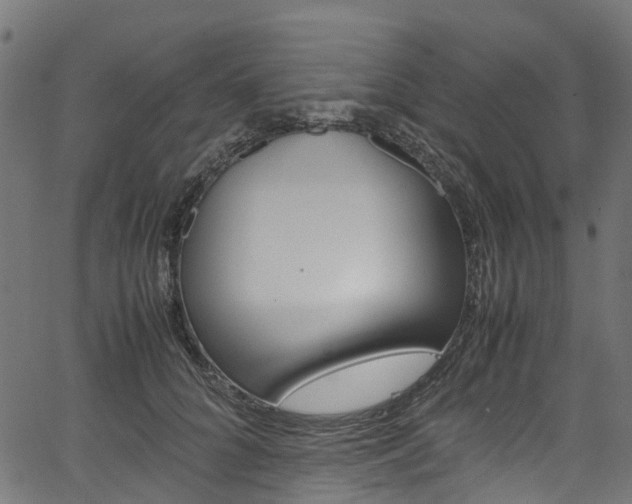 X0000067400704200603311021