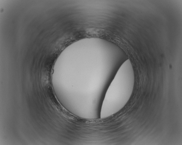 X0000067400706200603311021