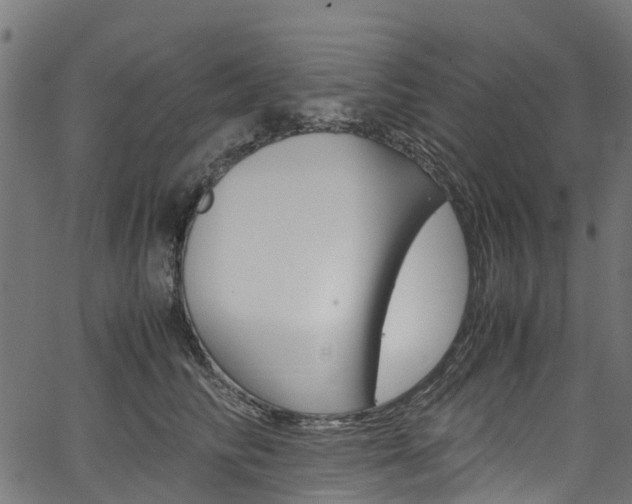 X0000067400710200603311021