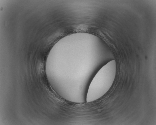 X0000067400714200603311020