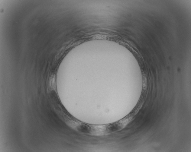 X0000067400717200603311020