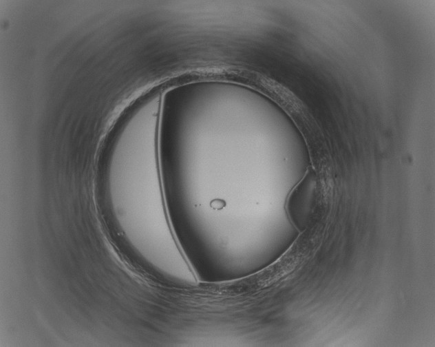 X0000067400728200603311020