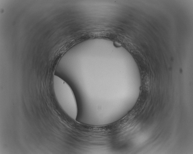 X0000067400746200603311020