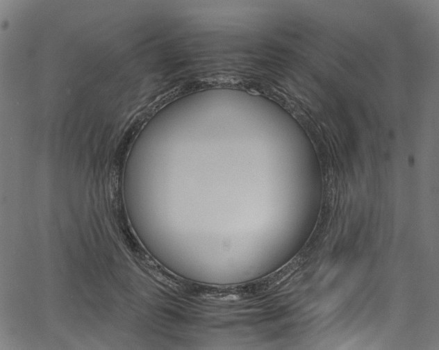 X0000067400747200603311020