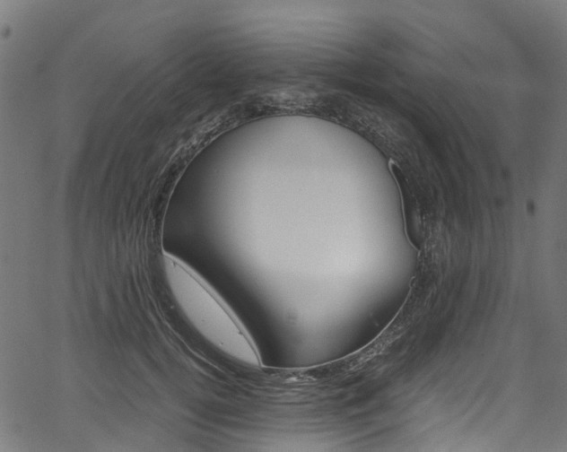X0000067400752200603311020