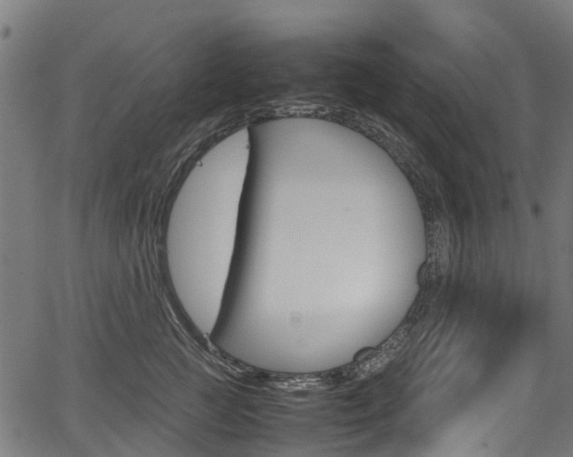 X0000067400761200603311020