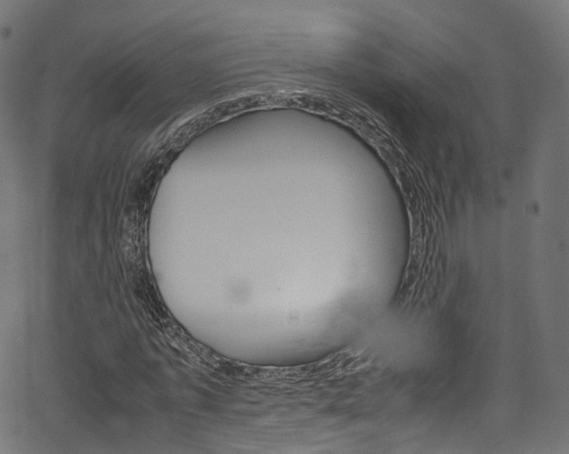 X0000067400773200603311020