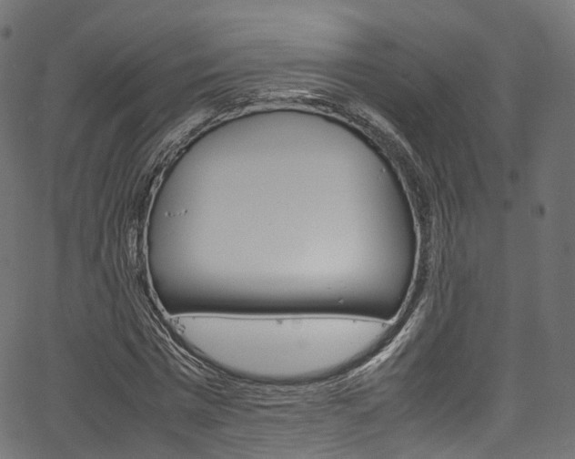 X0000067400777200603311019