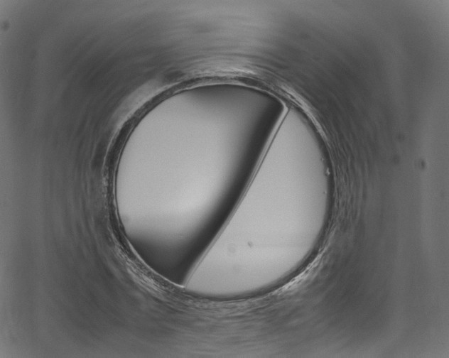 X0000067400779200603311019