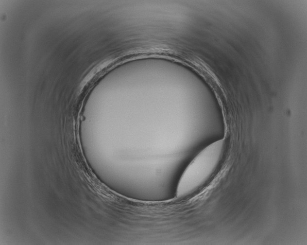 X0000067400781200603311019