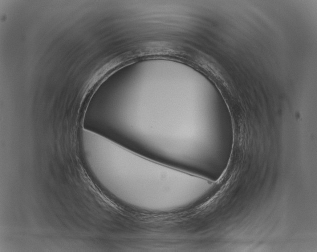X0000067400786200603311019