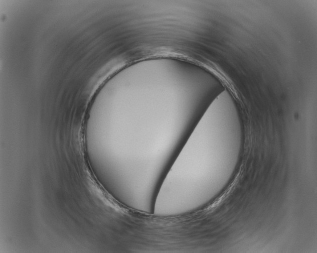 X0000067400806200603311019