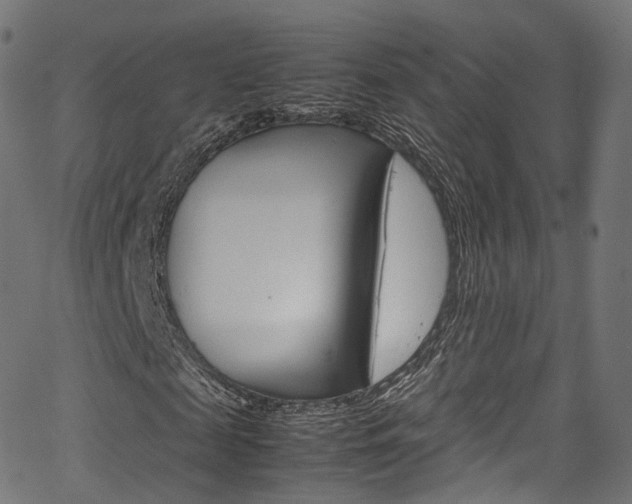 X0000067400817200603311018