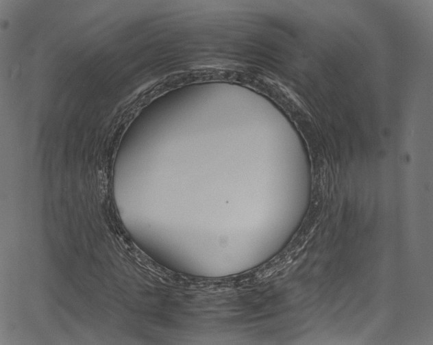 X0000067400821200603311018