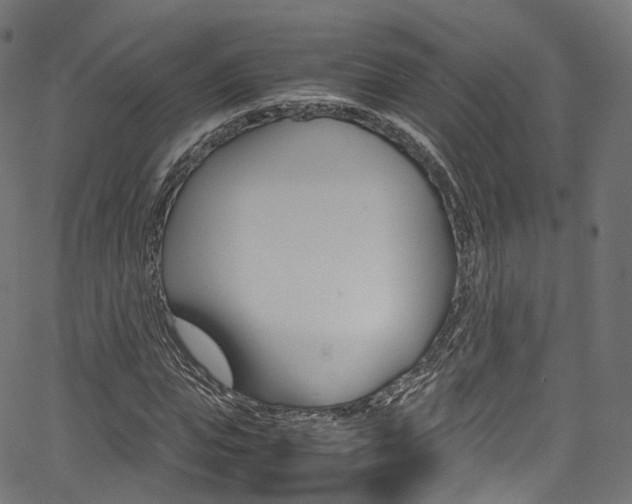 X0000067400823200603311018