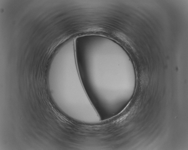 X0000067400825200603311018