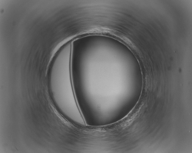 X0000067400838200603311018