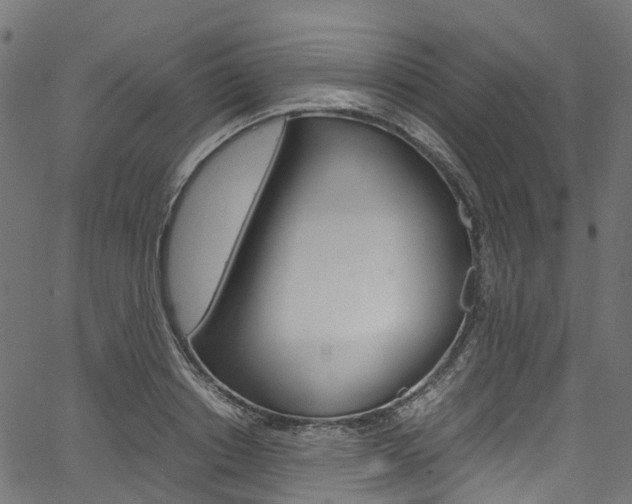 X0000067400842200603311018