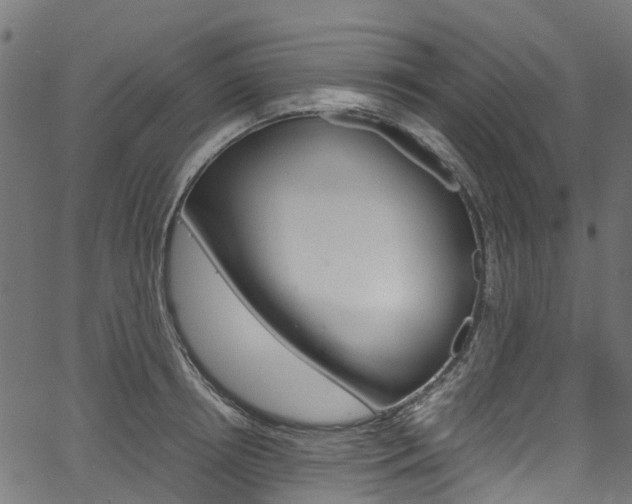 X0000067400850200603311019