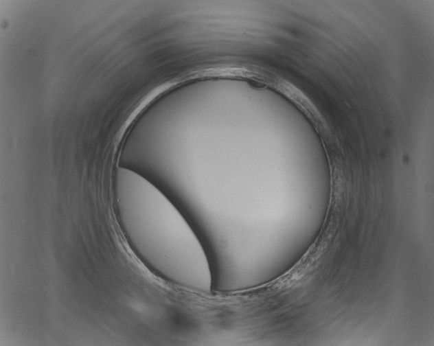 X0000067400852200603311019