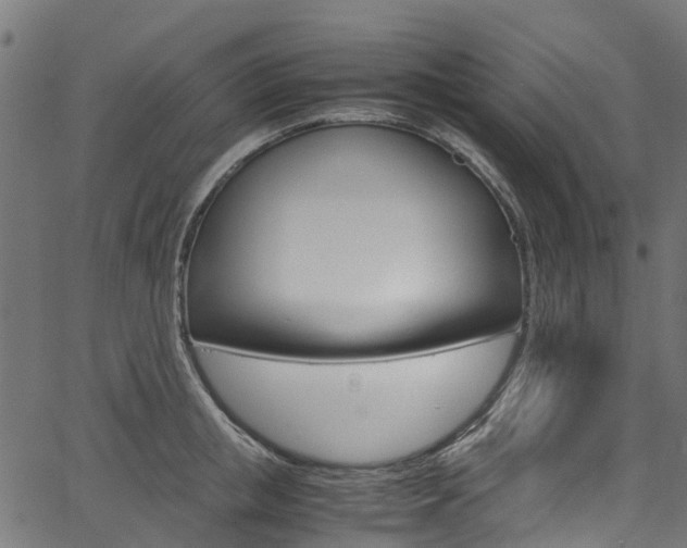 X0000067400853200603311019
