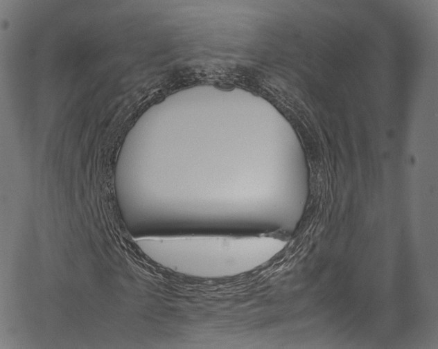 X0000067400865200603311018
