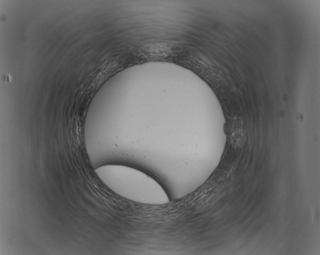 X0000067400866200603311018