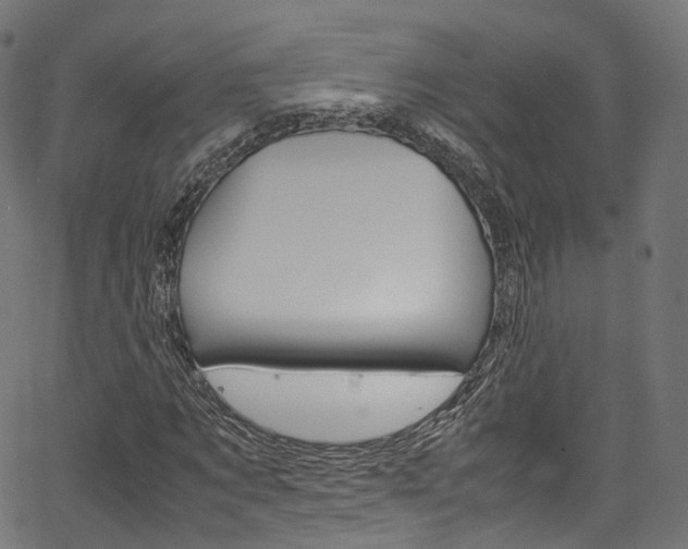 X0000067400869200603311018