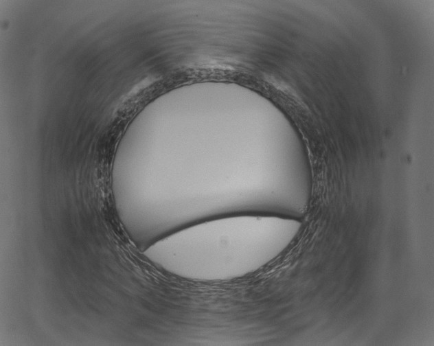 X0000067400870200603311018